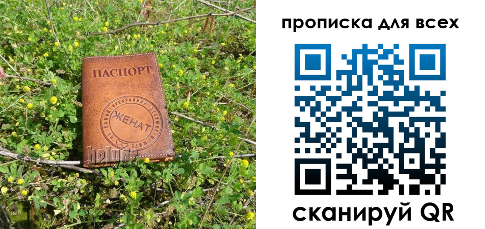 прописка поиск в Череповце